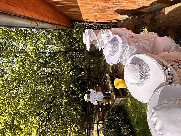 Menschen in Imkeranzügen